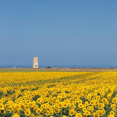 La Floristeria Гостевой дом Саора